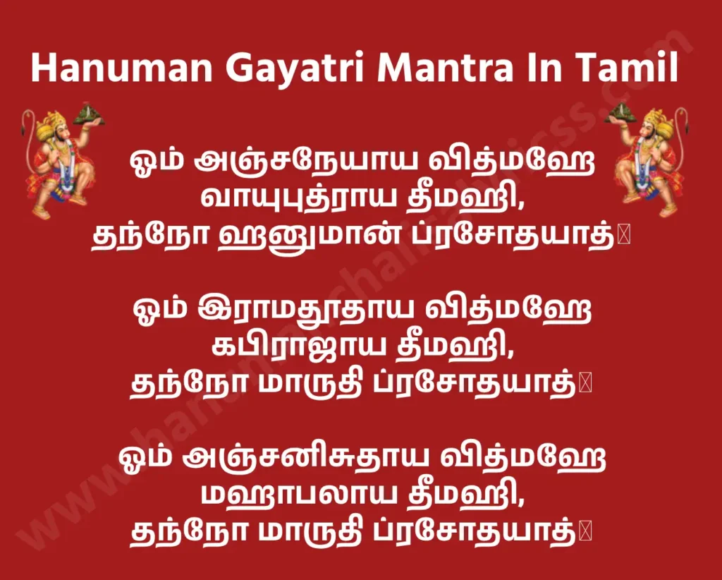 ஹனுமான் காயத்ரி மந்திரம் இன் தமிழ்

ஓம் அஞ்சநேயாய வித்மஹே வாயுபுத்ராய தீமஹி,
தந்நோ ஹனுமான் ப்ரசோதயாத்॥

அர்த்தம்: நாம் அஞ்சனையின் மகனாகிய அஞ்சநேயரையும், காற்றுத் தேவனின் மகனாகிய வாயுபுத்ரரையும் தியானிக்கிறோம். அருள்மிகு ஹனுமான் எங்கள் எண்ணங்களை ஊக்குவித்து, தைரியம், அறிவு மற்றும் வலிமையை அருள்புரிவாராக.

ஓம் இராமதூதாய வித்மஹே கபிராஜாய தீமஹி,
தந்நோ மாருதி ப்ரசோதயாத்॥

அர்த்தம்: நாம் இராமனின் தூதனாகிய தெய்வீக கபிராஜரைக் (வானரர்களின் அரசன்) தியானிக்கிறோம். அருள்மிகு மாருதி எங்கள் மனங்களை வெளிச்சமூட்டிக், பக்தி மற்றும் தர்மத்தின் பாதையில் நடத்துவாராக.

ஓம் அஞ்சனிசுதாய வித்மஹே மஹாபலாய தீமஹி,
தந்நோ மாருதி ப்ரசோதயாத்॥

அர்த்தம்: நாம் அஞ்சனையின் மகனாகிய அஞ்சனிசுதரையும், பேராற்றல் மற்றும் வீரத்தைக் கொண்ட மஹாபலரையும் தியானிக்கிறோம். அருள்மிகு மாருதி எங்கள் உள்ளாற்றலை எழுப்பி, வெற்றி மற்றும் ஆன்மீக முன்னேற்றத்துக்குப் பாசுரமிடுவாராக.